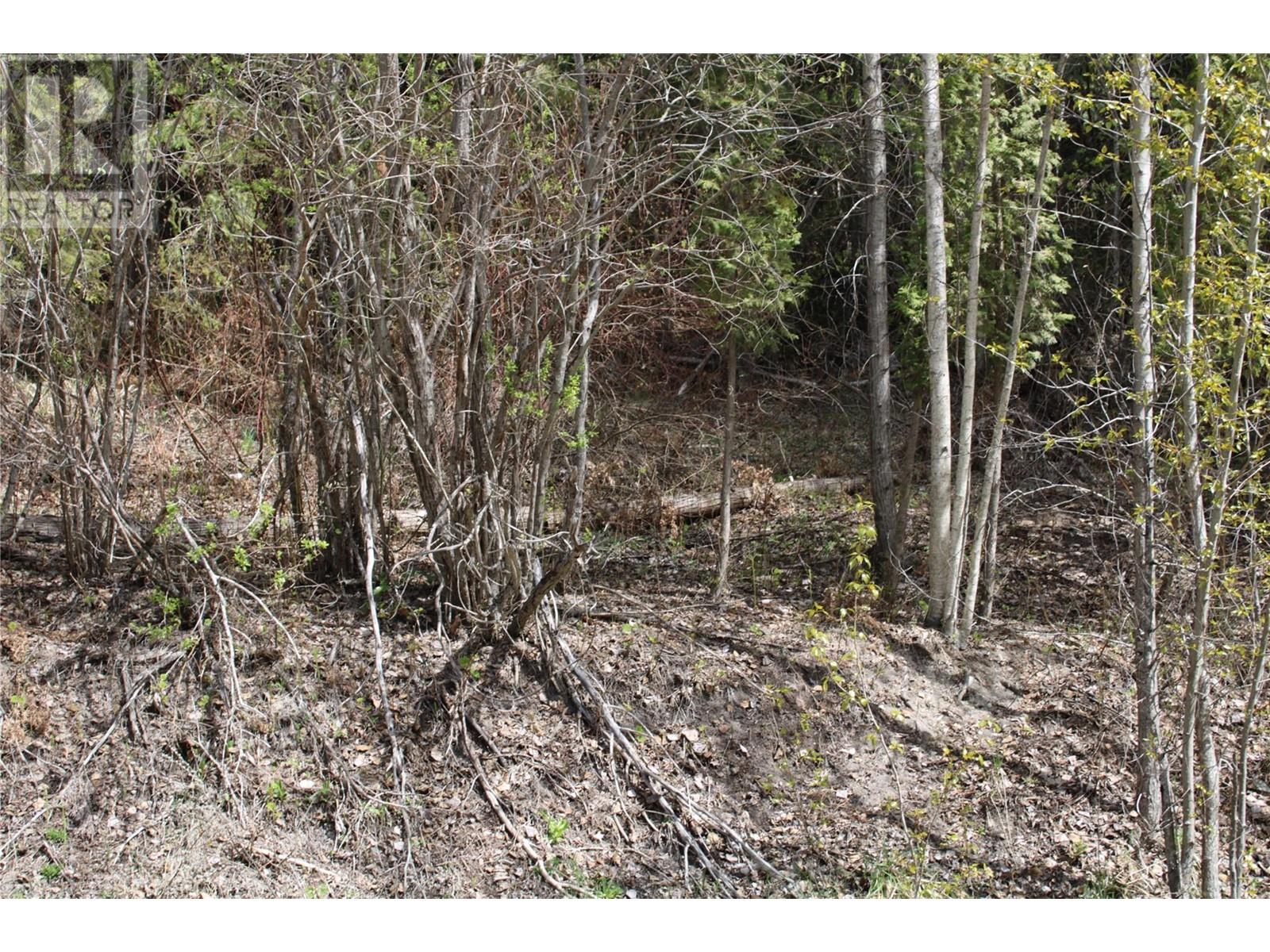 Lot 2 Vickers Trail, anglemont, British Columbia