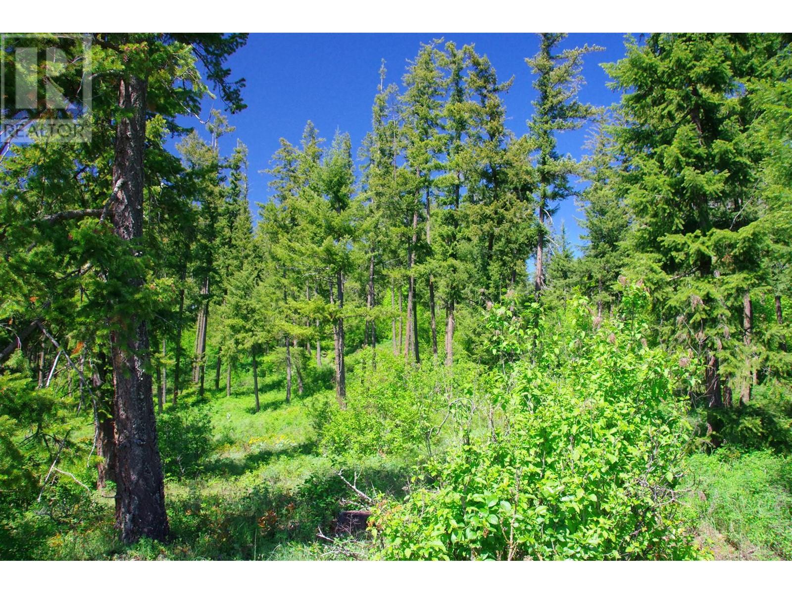LS 13 Sumac Road, tappen, British Columbia