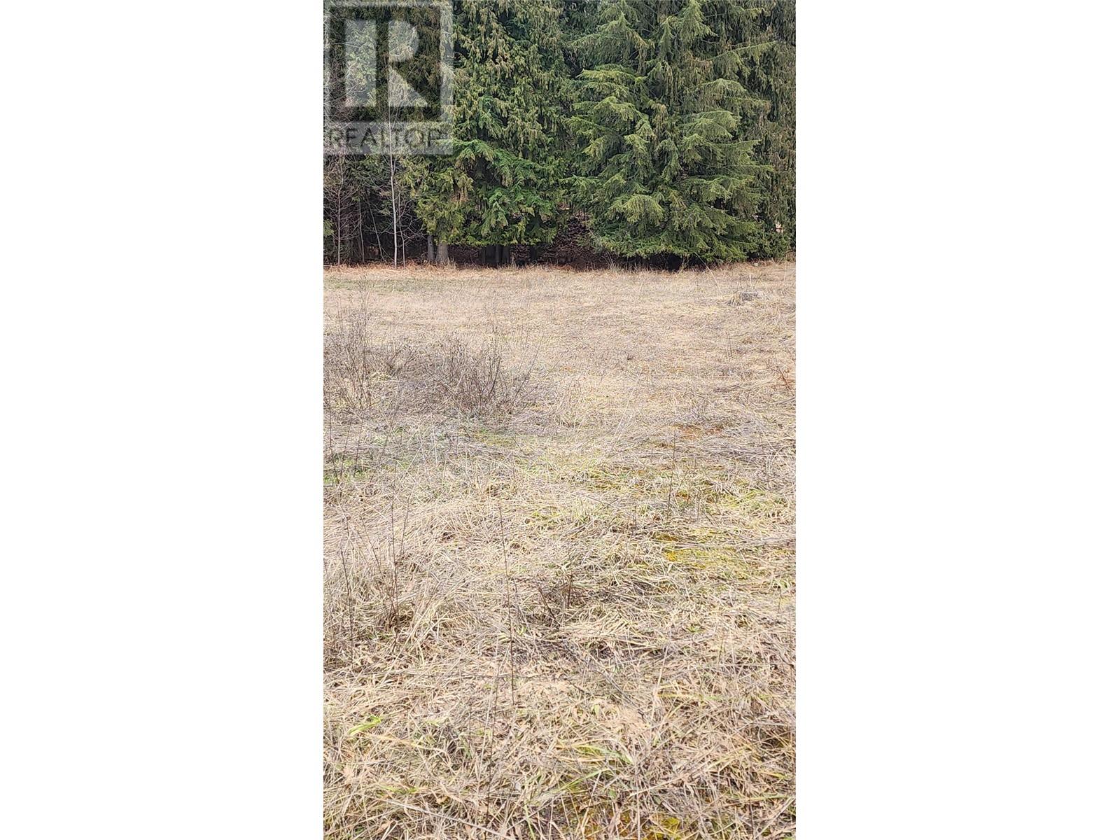 509 3A Avenue, nakusp, British Columbia