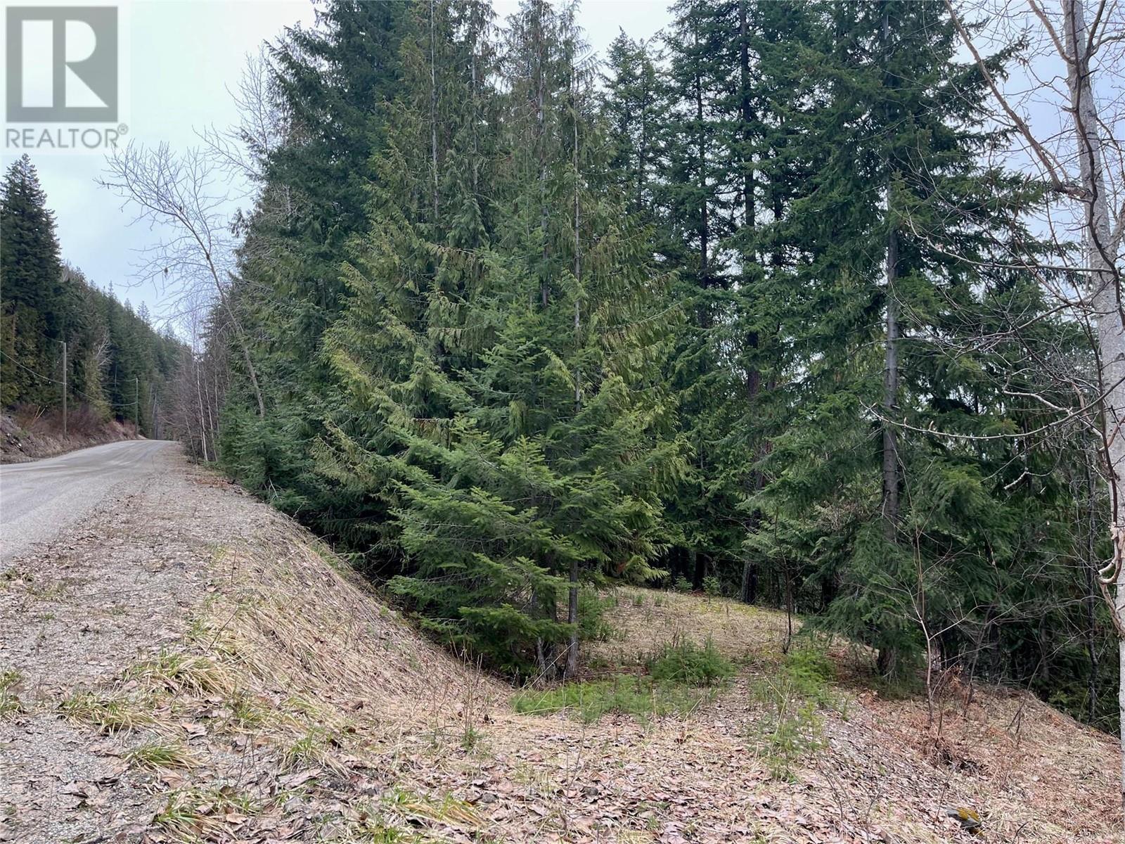 Lot 49 Castle Heights Lot# 49, anglemont, British Columbia