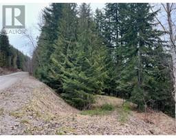Lot 49 Castle Heights Lot# 49, anglemont, British Columbia