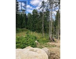 311 RIDGE Road, rossland, British Columbia