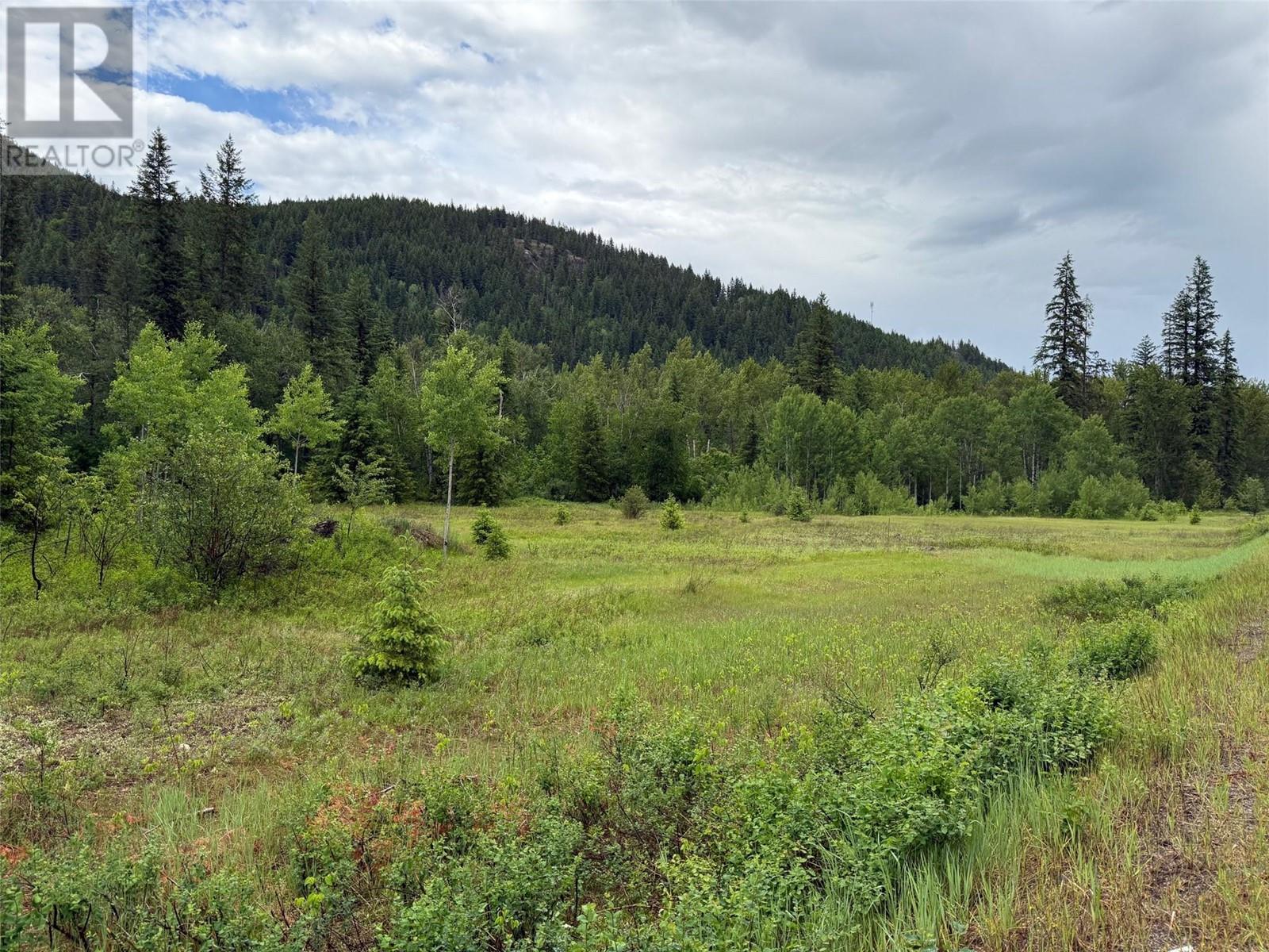 2128 Blackwater Road, clearwater, British Columbia