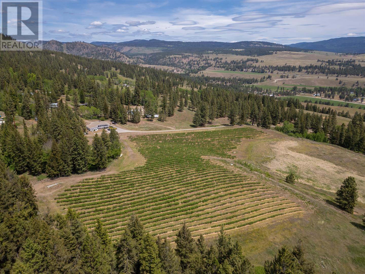 615 Cedar Creek Road, princeton, British Columbia