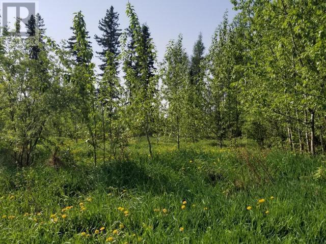 4845 52 Avenue SW, chetwynd, British Columbia