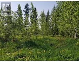 4845 52 Avenue SW, chetwynd, British Columbia