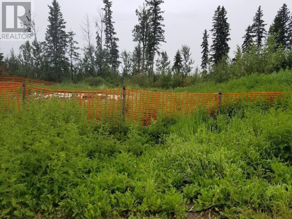 4841 52 Avenue SW, chetwynd, British Columbia