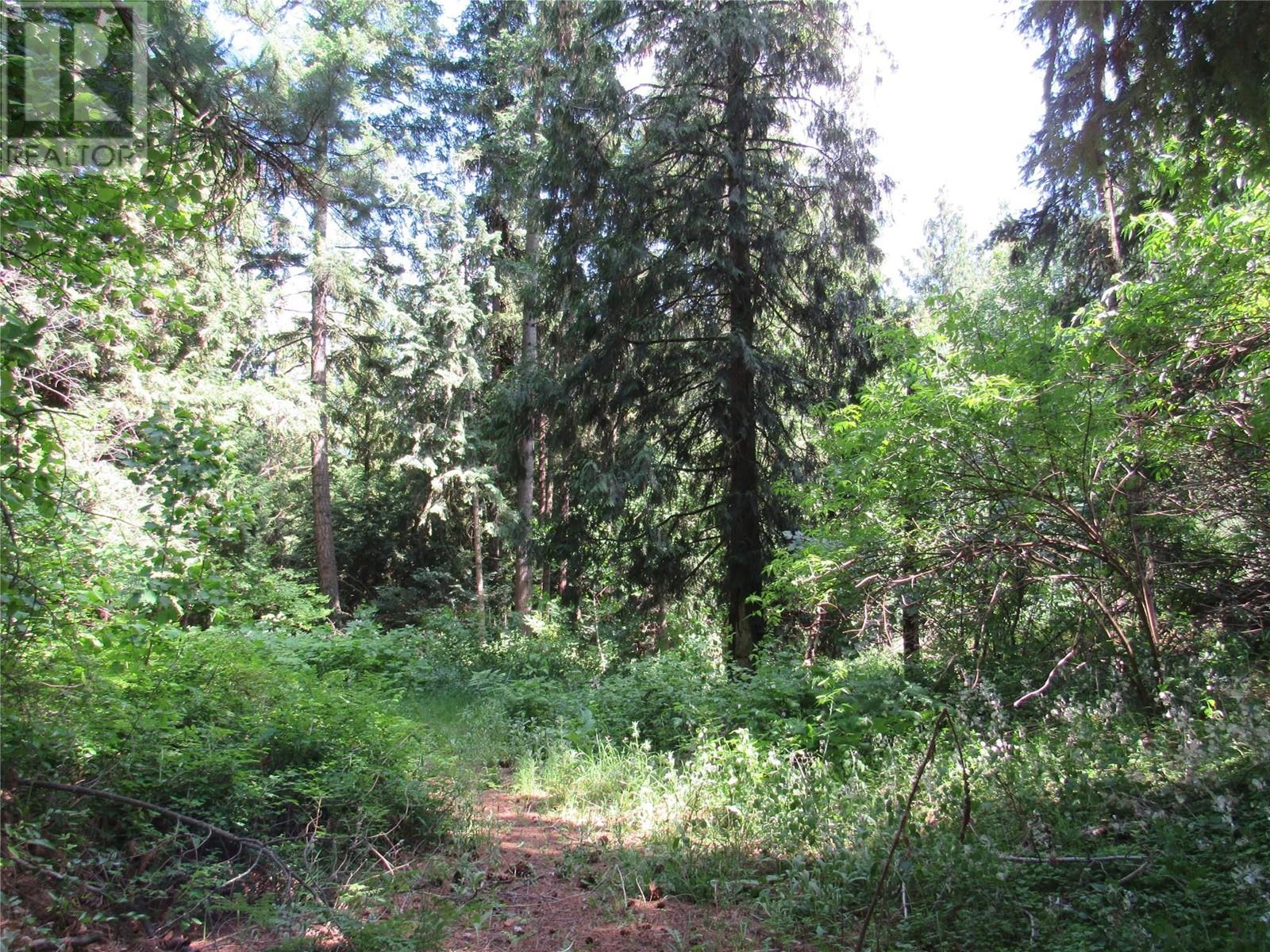 2532 10th Avenue Unit# Parcel A, castlegar, British Columbia