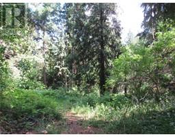 2532 10th Avenue Unit# Parcel A, castlegar, British Columbia