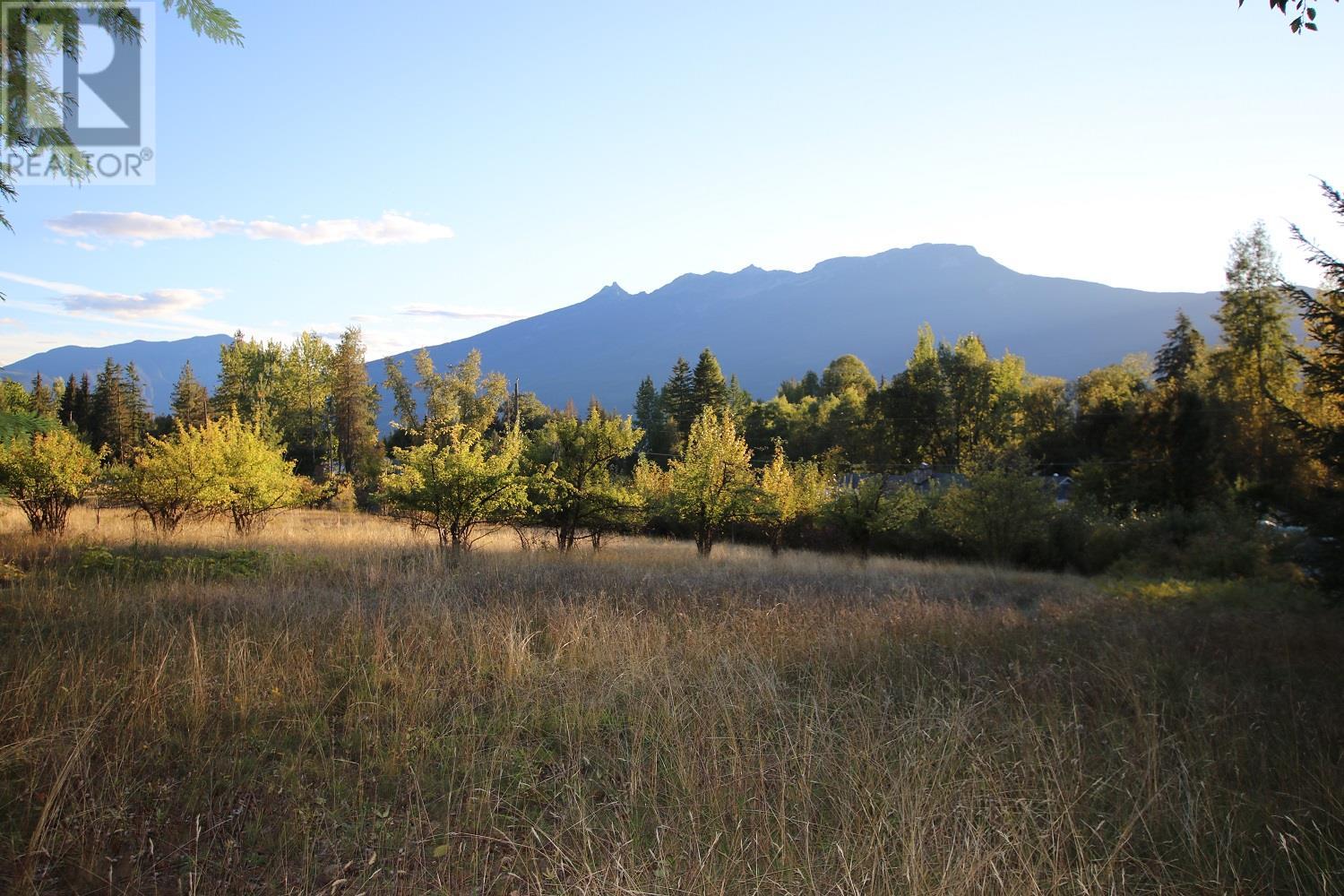 Lot 4 Alexander Road, nakusp, British Columbia